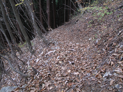 20171116hike (228)